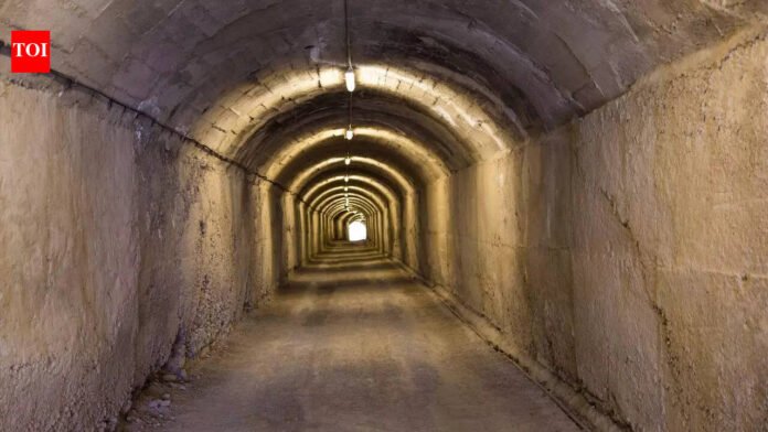 How Switzerland became the most nuclear bunker-ready country in the world World News