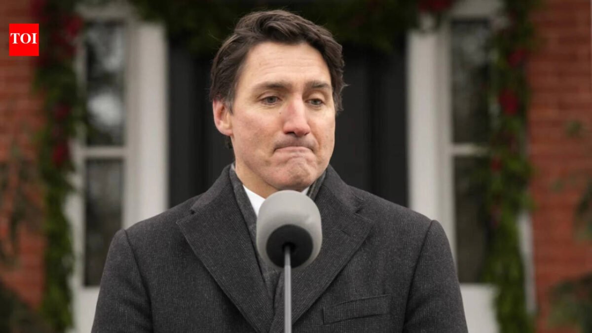 'I cleaned bathrooms to get here': Indian-born entrepreneur says Trudeau's immigration policies have brought 'the worst criminals' to Canada