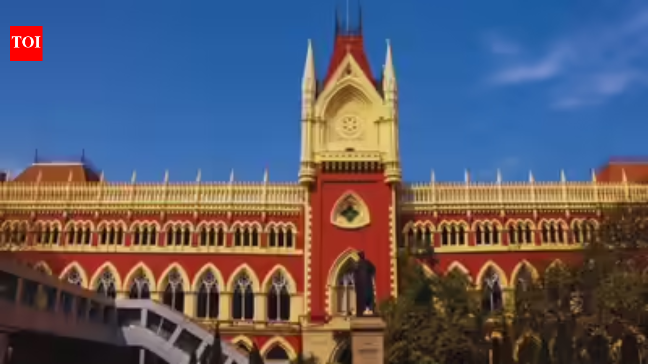Inclusion of 'suspicious voters' in rolls will be subject to judge's order: CEC