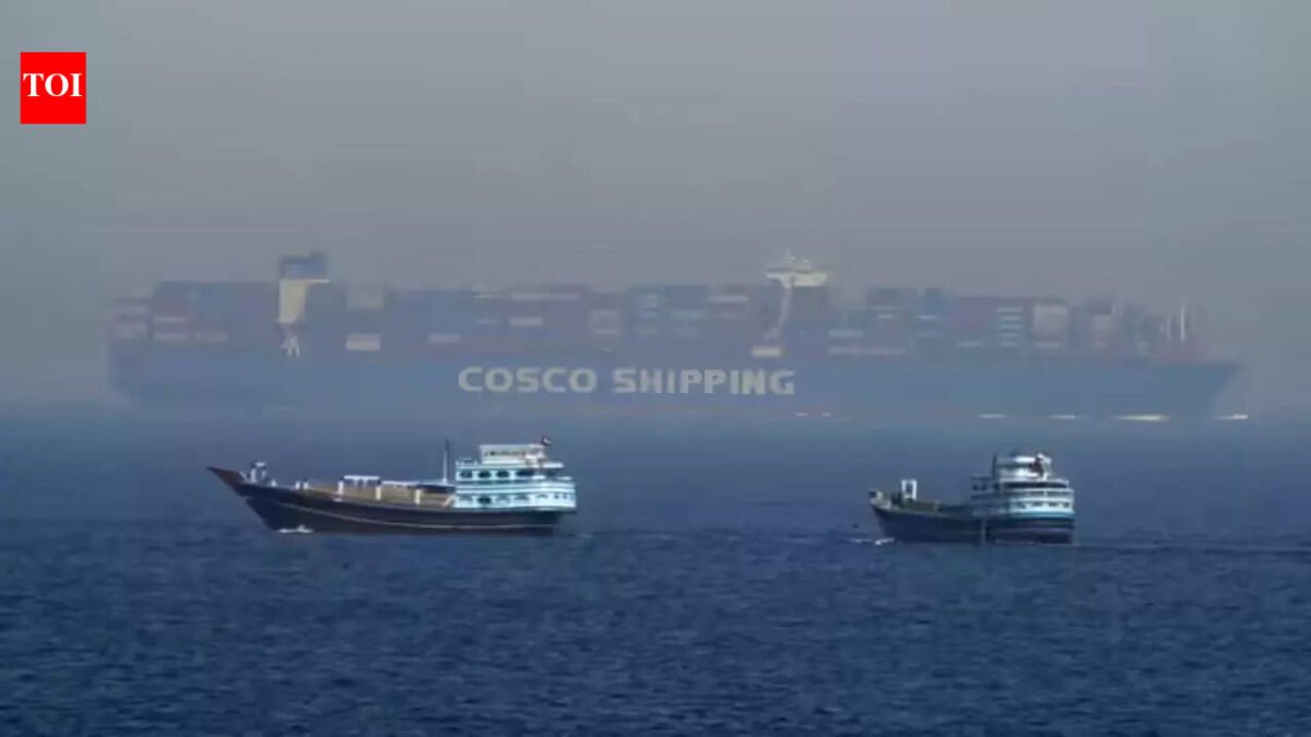 India considers naval escort for ships in Strait of Hormuz during Iran war: report