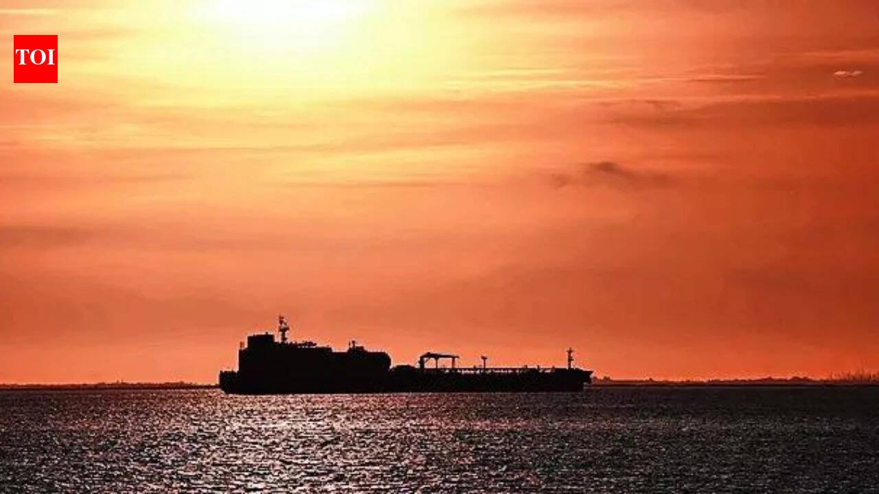 Indian-flagged crew recalls painful time but finally home