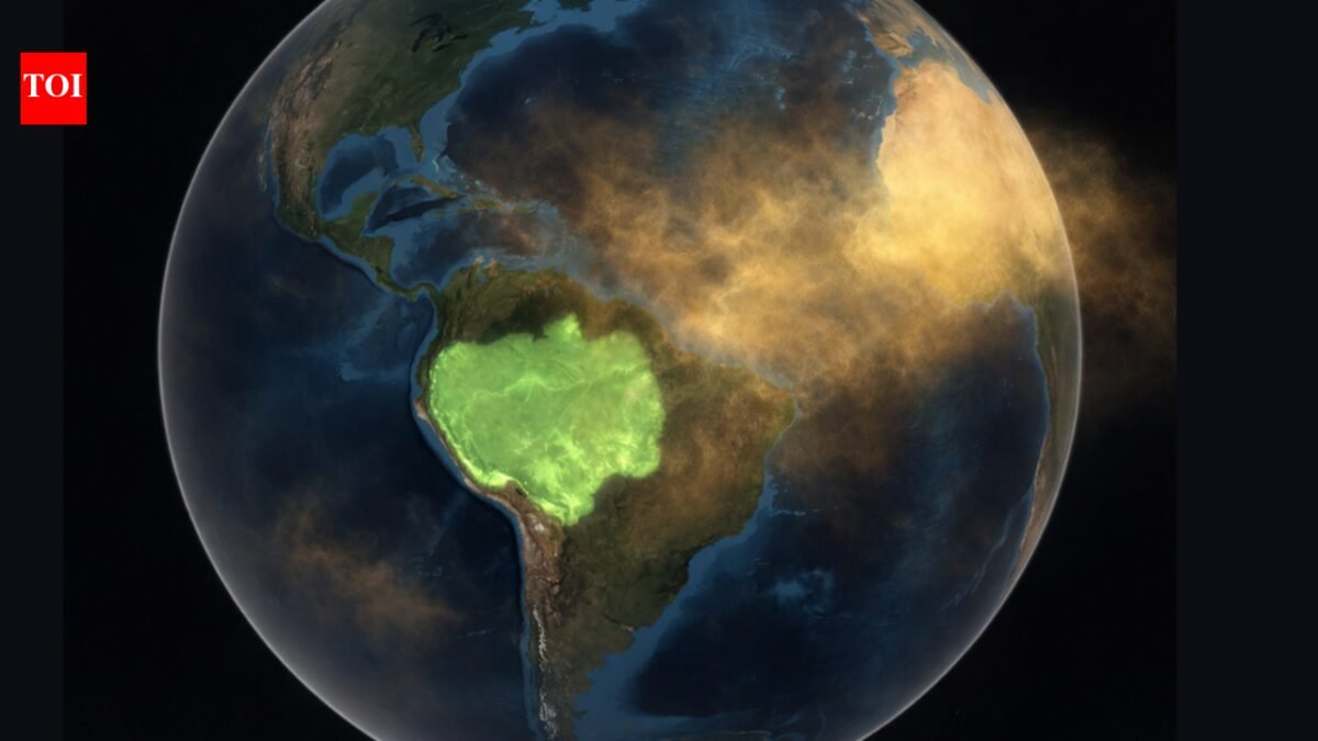 Is Saharan Dust Secretly Feeding the Amazon? The science behind a 10,000-mile journey |