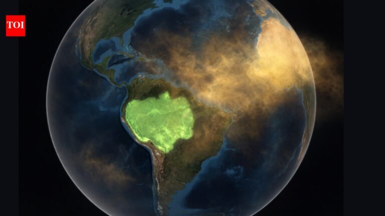 Is Saharan Dust Secretly Feeding the Amazon? The science behind a 10,000-mile journey |