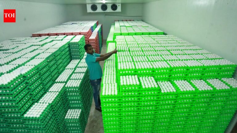 Israel-Iran war halts Namakkal egg exports; daily loss estimated at Rs 550 million