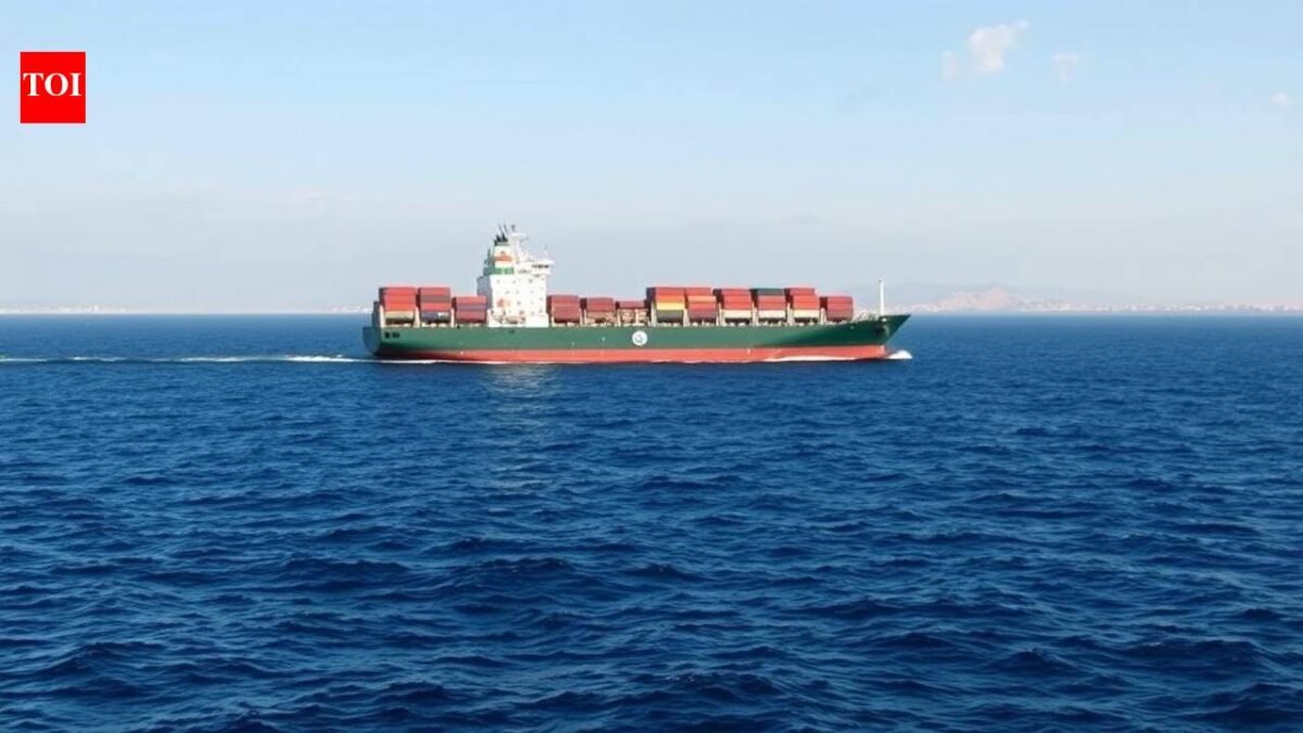 "Jaishan Jaishankar spoke to Iranian Foreign Minister 3 times": India raised concerns about ship safety and energy security