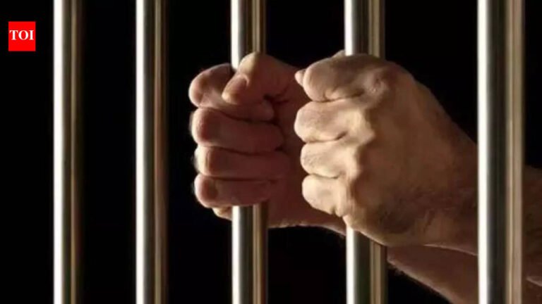 Jammu and Kashmir: 2 mobile phones smuggled into jail recovered in Doda