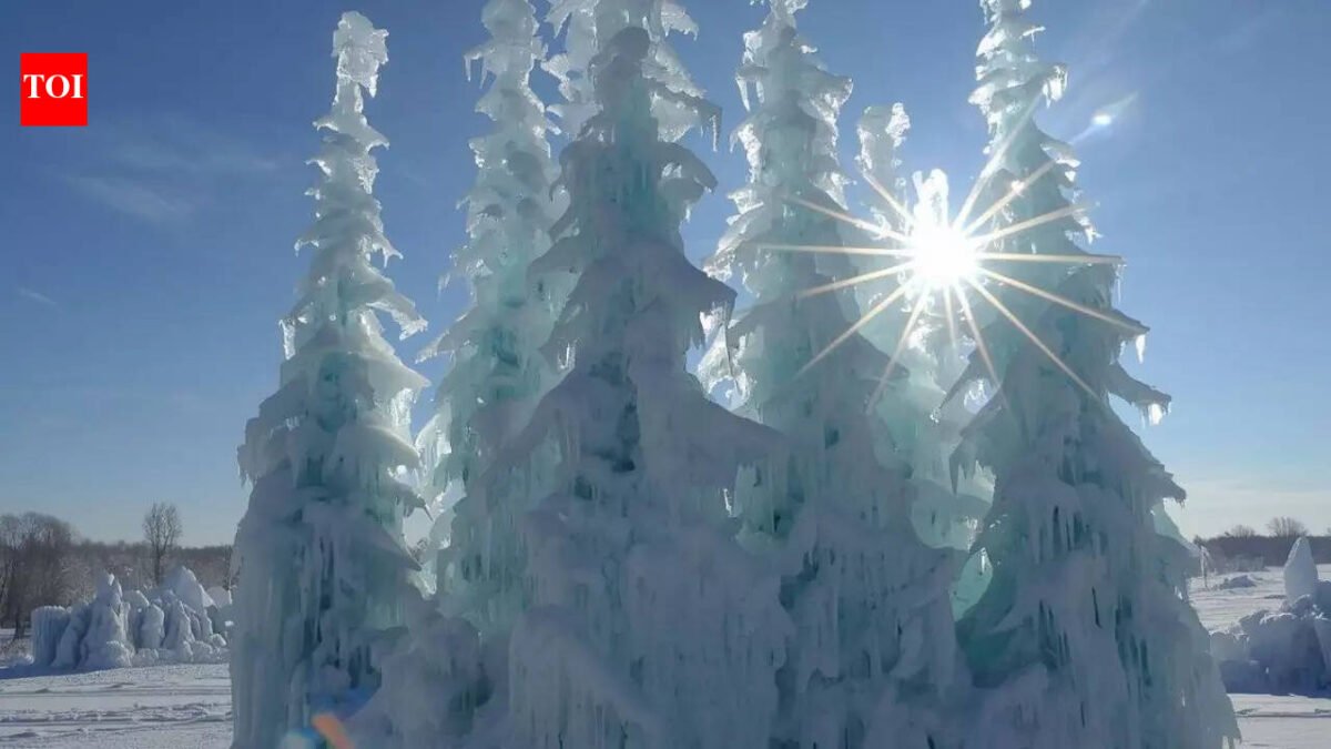 Japan's 'snow monsters': Zao's frozen giants have only been around for a few weeks, locals say they are slowly disappearing World News