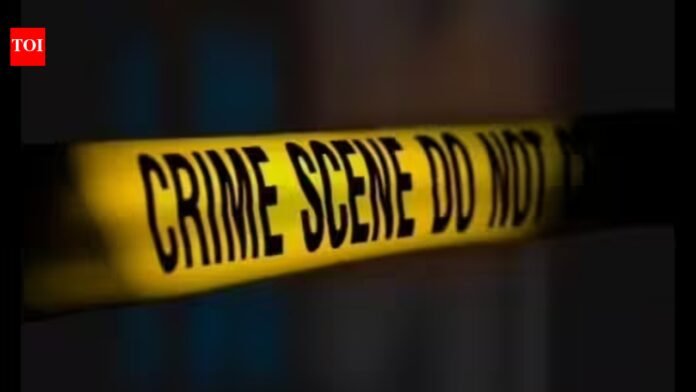 Karnataka: Husband cuts wife's throat, then drives away; onlookers record video

