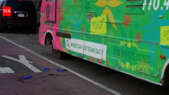 Man stabbed to death near mobile marijuana dispensary in late night attack in Bronx News of the World


