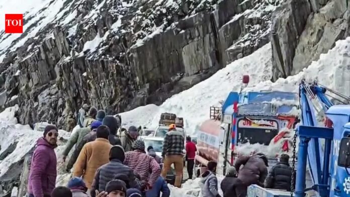 Multiple avalanches occurred on the Srinagar-Leh National Highway, killing 7 people and leaving many vehicles trapped under a snow-top development area

