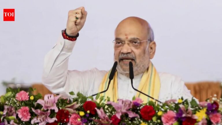 ‘No Hindu refugee will lose citizenship’: West Bengal’s Amit Shah