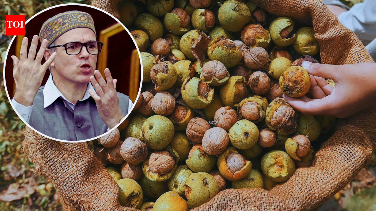 Omar supports 57-year-old walnut felling ban law in Parliament, linking it to economy and Kashmir's identity