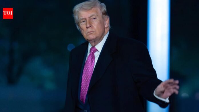 'Only country that respects this subject': Trump reignites birthright citizenship debate, slams US courts

