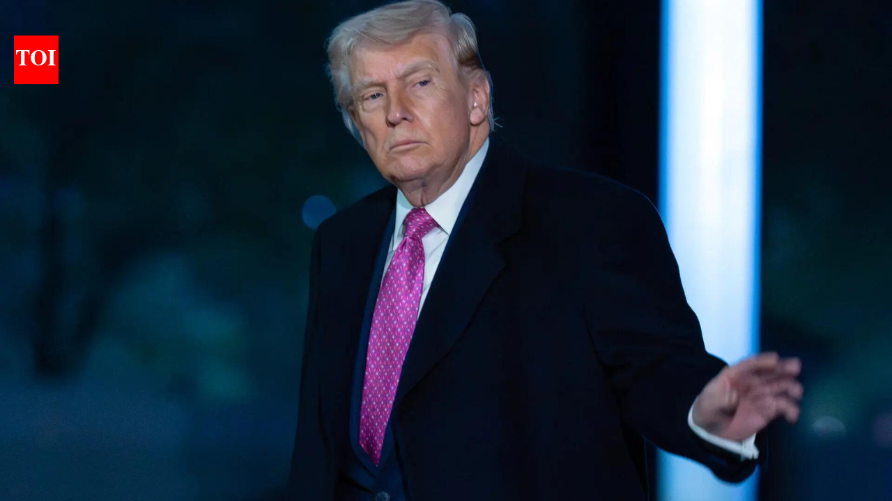 'Only country that respects this subject': Trump reignites birthright citizenship debate, slams US courts