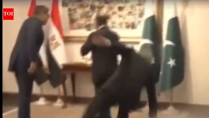 Pakistan Deputy Prime Minister Ishaq Dar falls while welcoming Egypt's foreign minister to Middle East peace talks, video goes viral

