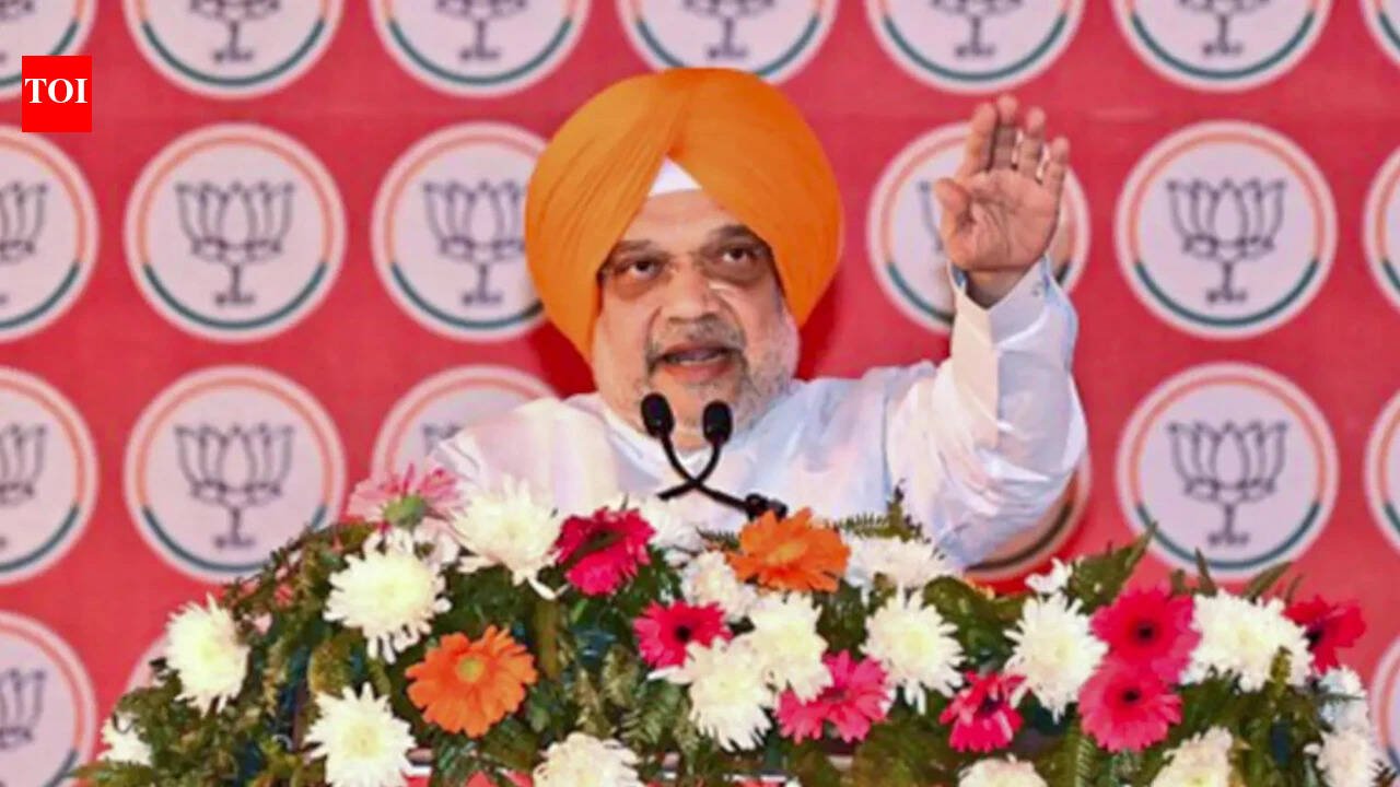 Punjab: Amit Shah rules out Akali alliance revival, says BJP will fight 2027 polls to form own government