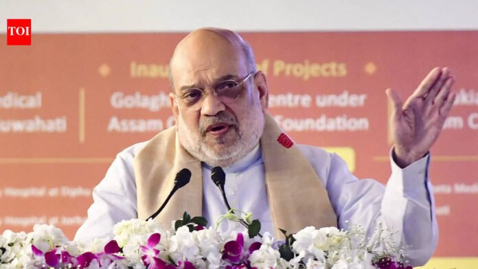 'Rahul Gandhi defamed India': Amit Shah on Youth Congress' topless protest at Delhi AI summit

