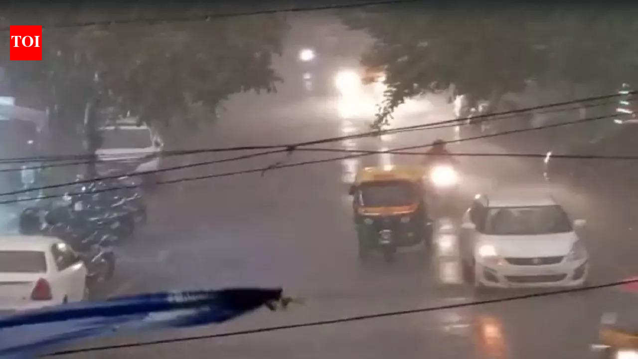 Rains in parts of Haryana, Punjab; temperatures hover below normal