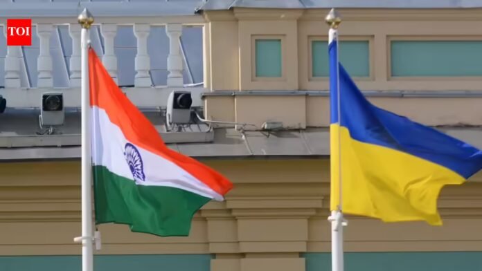 'Russia sowing discord': Kyiv denies anti-India plot, seeks fair investigation into detention of six Ukrainians

