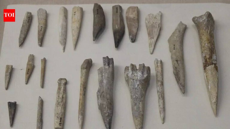 Saudi Arabia: Saudi News: 13,500-year-old settlement discovered in Naifud Desert, 190 kilometers of trade links shocks archaeologists | World News