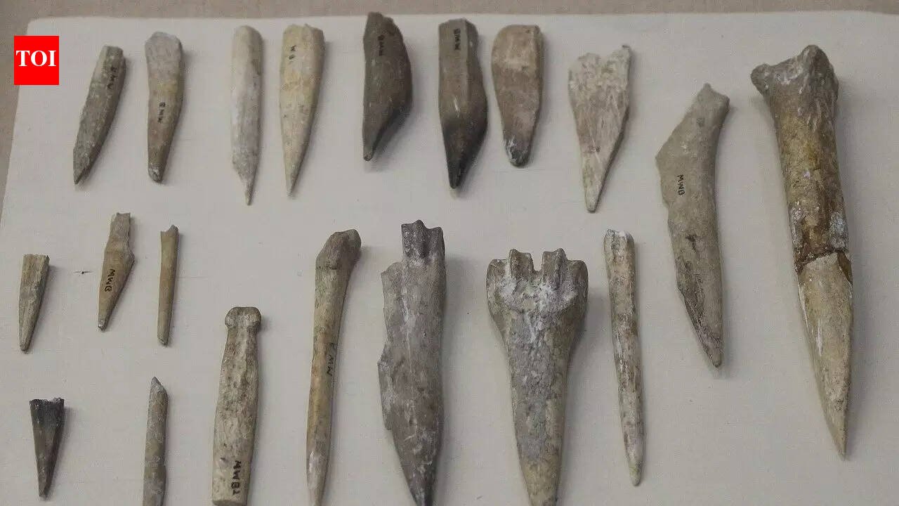 Saudi Arabia: Saudi News: 13,500-year-old settlement discovered in Naifud Desert, 190 kilometers of trade links shocks archaeologists | World News