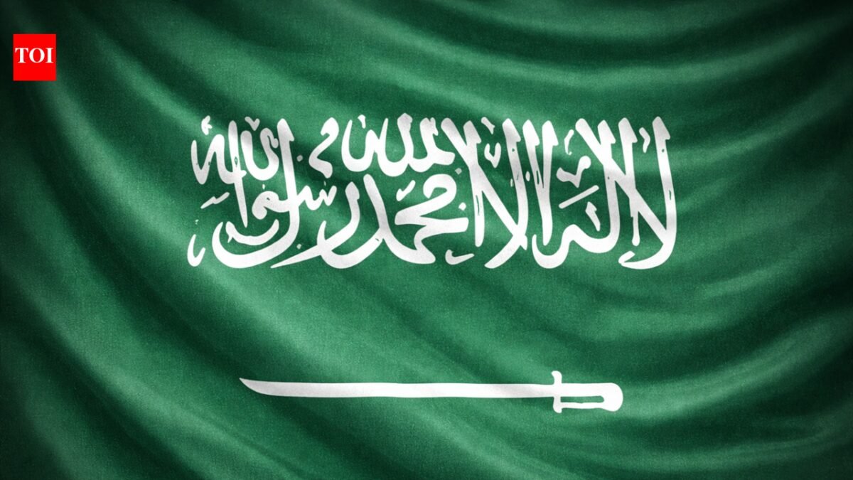 Saudi Arabia arrests 19,077 residency, border and labor law violators in one week World News