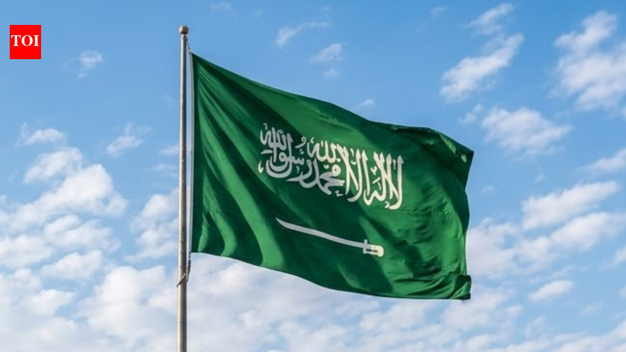 Saudi Arabia records more than 22,000 violations, arrests thousands in week-long crackdown on residency, labor and border violations | World News