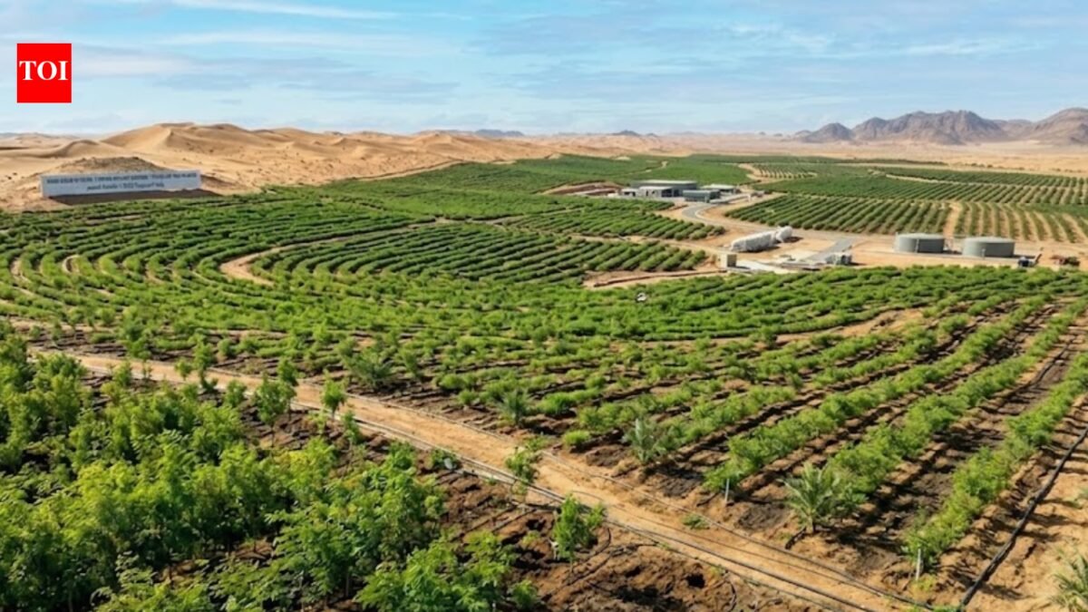 Saudi Arabia restores 1 million hectares of land, plants over 159 million trees under green initiative | World News