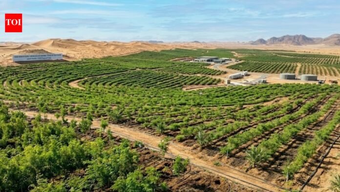 Saudi Arabia restores 1 million hectares of land, plants over 159 million trees under green initiative | World News

