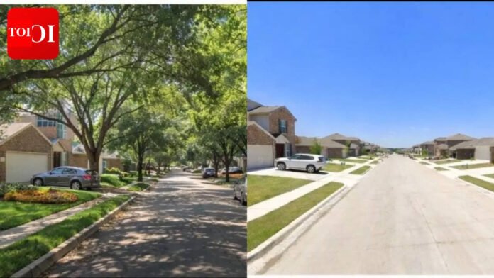 'Save $5,000 per lot': Why are US builders selling tree-free homes to families? world news

