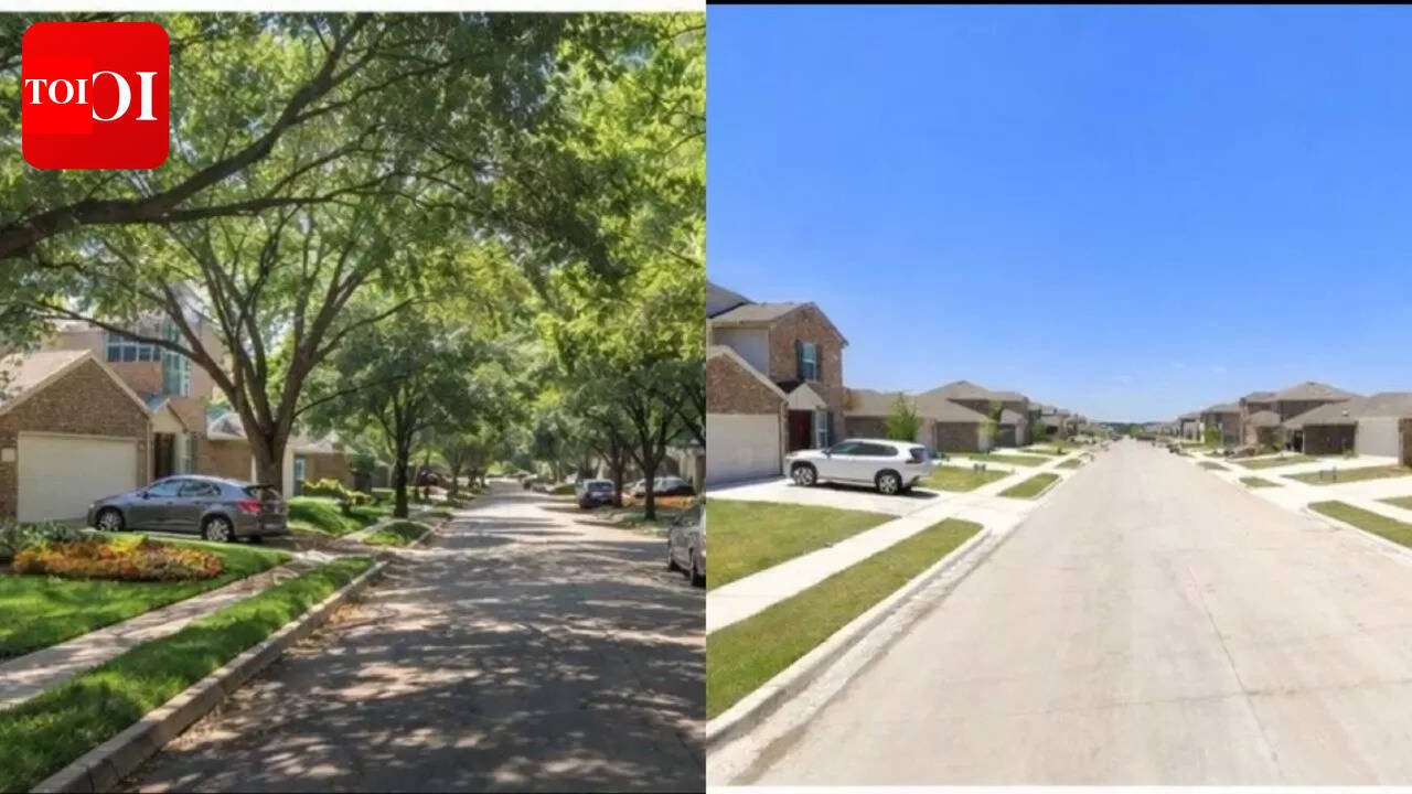 'Save $5,000 per lot': Why are US builders selling tree-free homes to families? world news