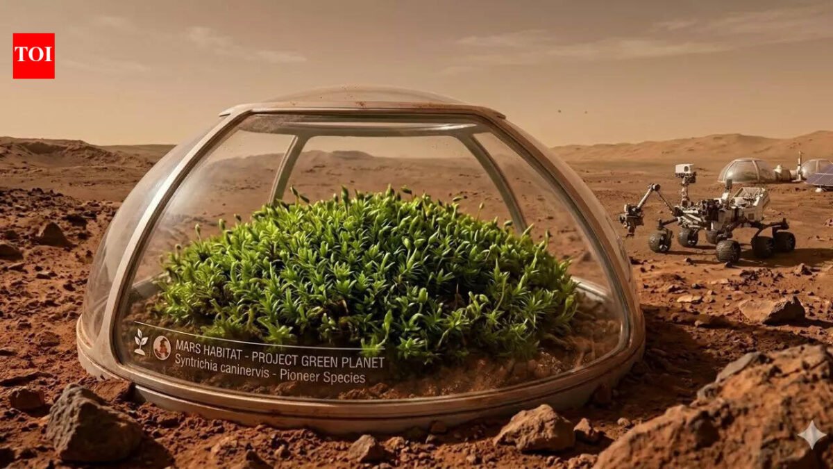 Scientists discover a plant that could survive on Mars and help create a 'green planet'