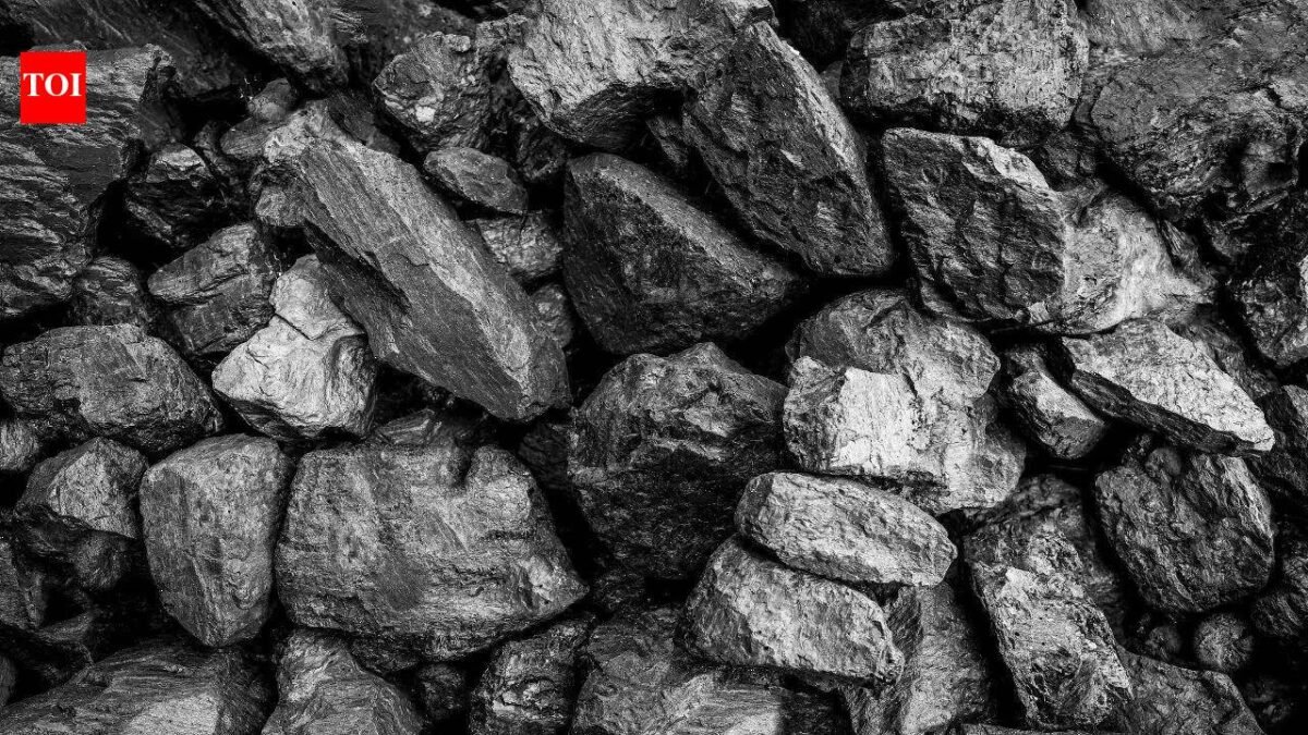 Sufficient coal stocks to meet growing energy demand: Govt
