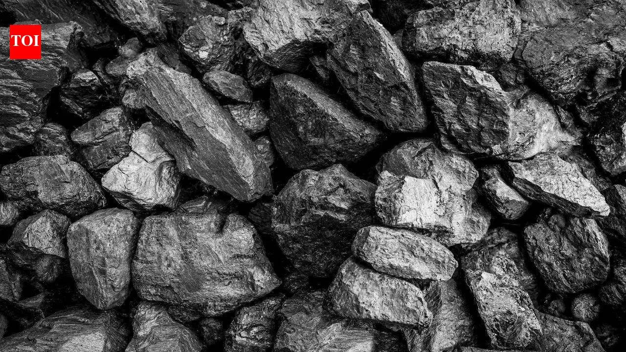 Sufficient coal stocks to meet growing energy demand: Govt
