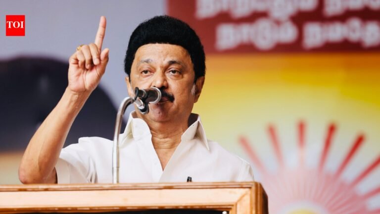 Tamil Nadu CM MK Stalin provides electricity subsidy of Rs 2 per unit to restaurants switching to LPG due to supply crisis