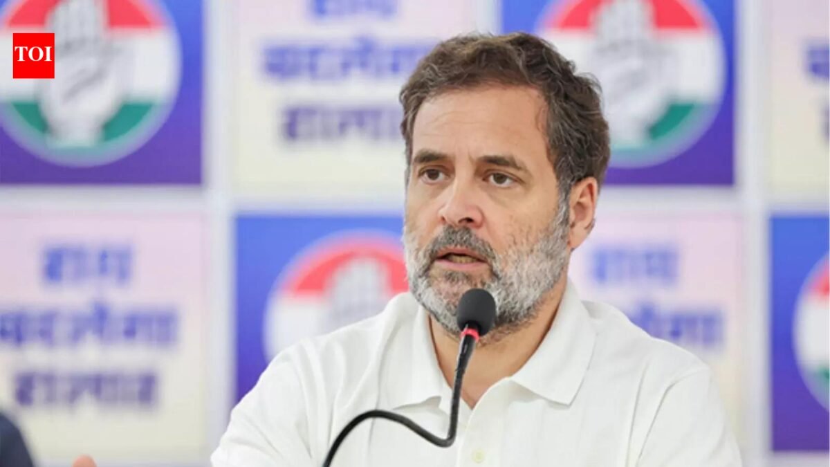 'Team UDF is team Kerala, people are ready for change': Rahul Gandhi's speech before Kerala polls