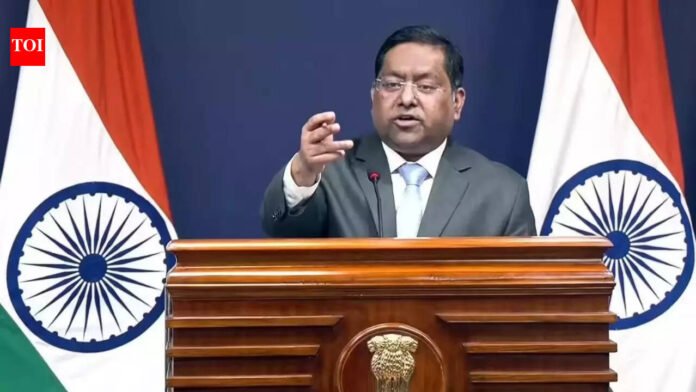 'Telling lies and frivolous narratives': India rejects Pakistan's remarks on banned terror group

