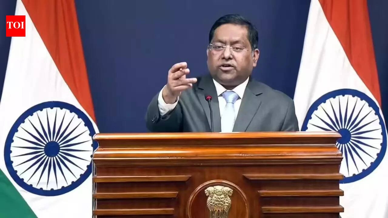 'Telling lies and frivolous narratives': India rejects Pakistan's remarks on banned terror group