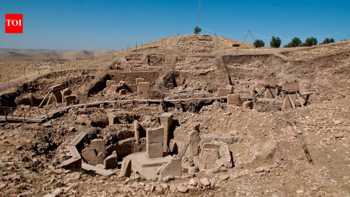 The 12,000-year-old mystery of Göbekli Tepe in Türkiye: Who built this temple, and where did its builder disappear? world news

