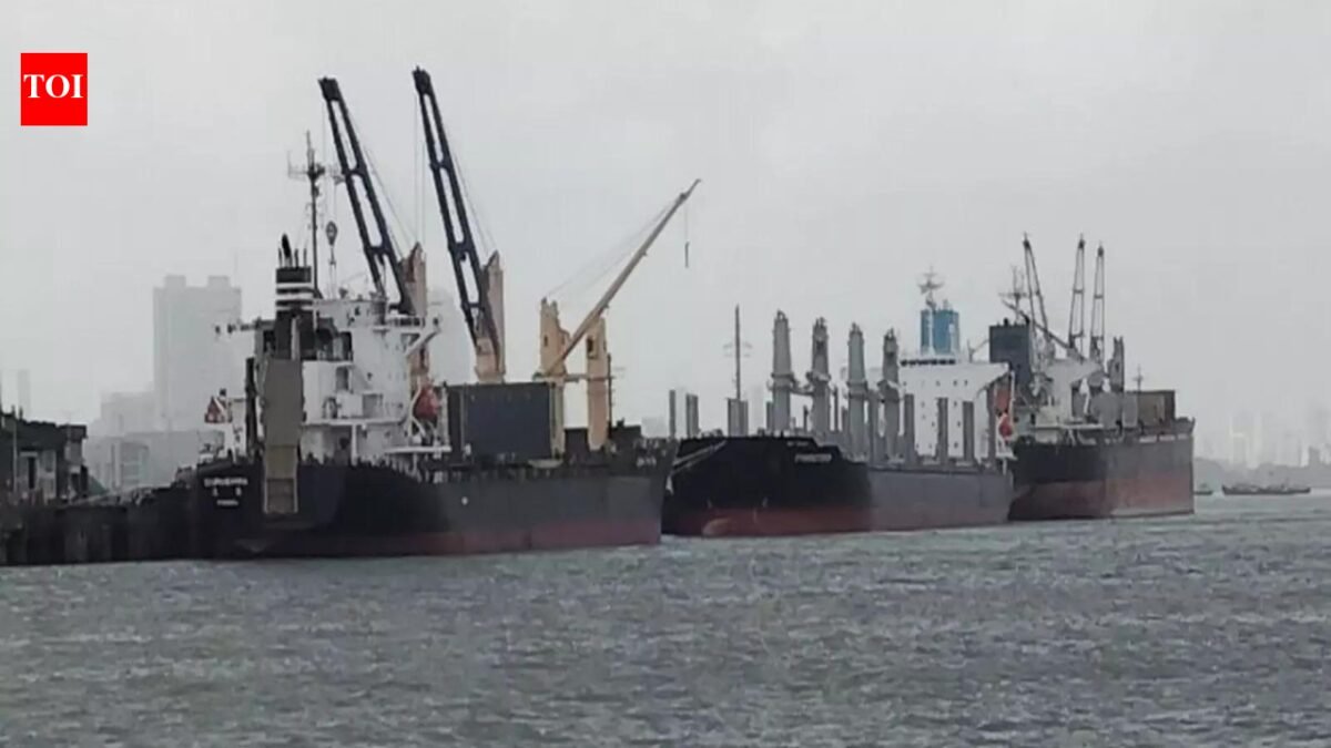 The Liberian-flagged oil tanker Shenlong loaded with Saudi crude oil entered India through the Strait of Hormuz