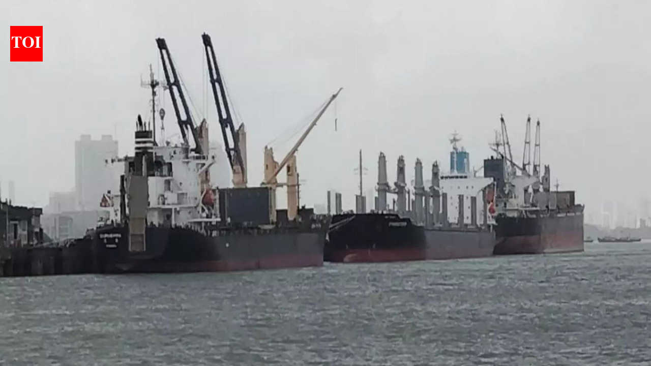 The Liberian-flagged oil tanker Shenlong loaded with Saudi crude oil entered India through the Strait of Hormuz