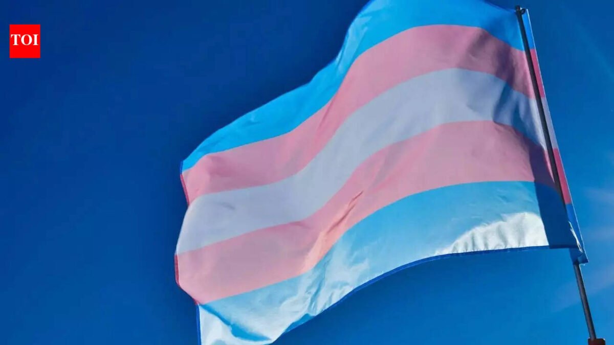 Trans rights activists stage protest in Hyderabad against amendment bill, demand withdrawal