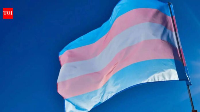 Trans rights activists stage protest in Hyderabad against amendment bill, demand withdrawal

