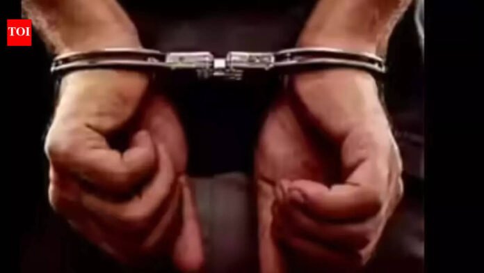 Triple murders in US: Three found dead in North Carolina camper, man arrested

