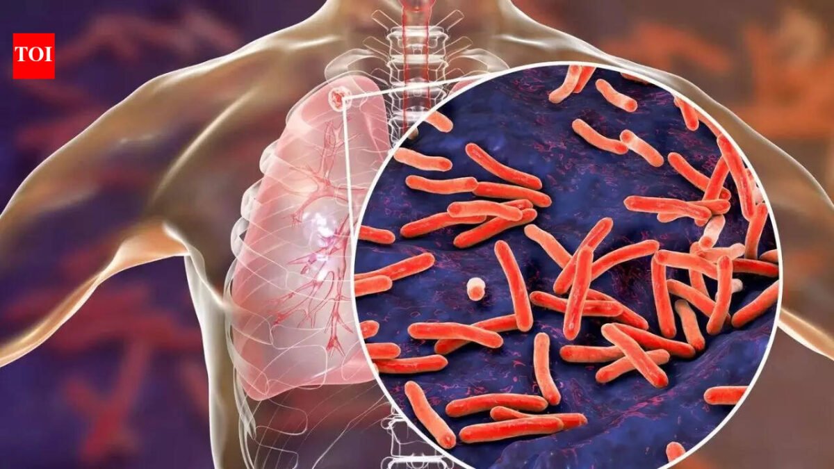 Tuberculosis remains India's biggest infectious disease killer, but mass screening efforts are bearing fruit