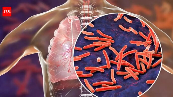 Tuberculosis remains India's biggest infectious disease killer, but mass screening efforts are bearing fruit

