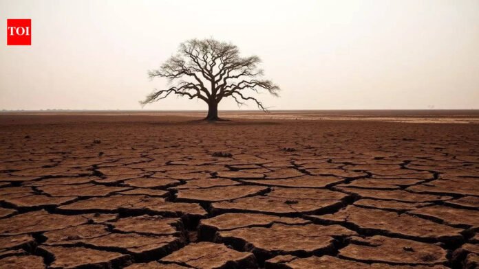 US predicts El Niño may arrive in first half of monsoon

