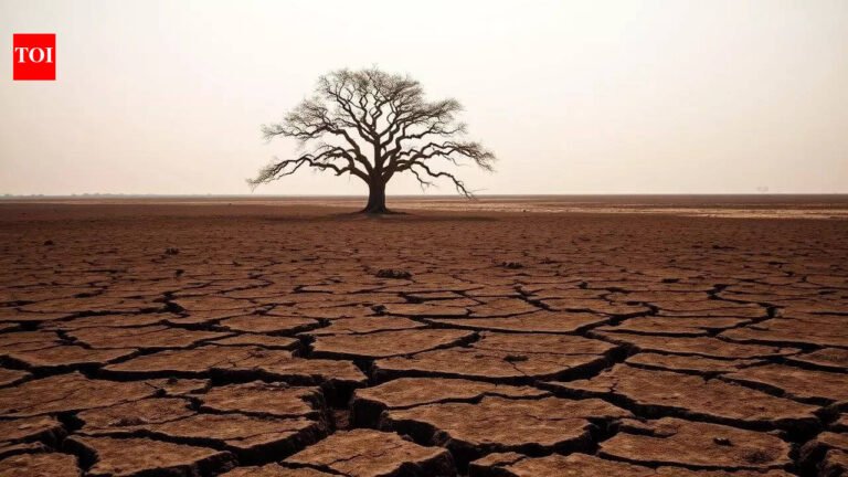 US predicts El Niño may arrive in first half of monsoon