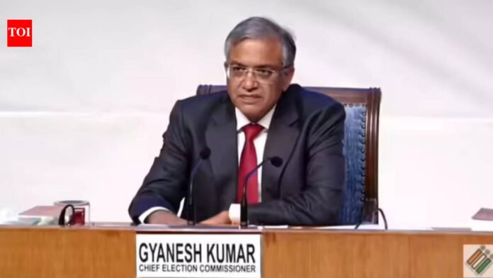 Voting for eight parliamentary seats will take place on April 9 and April 4. twenty three

