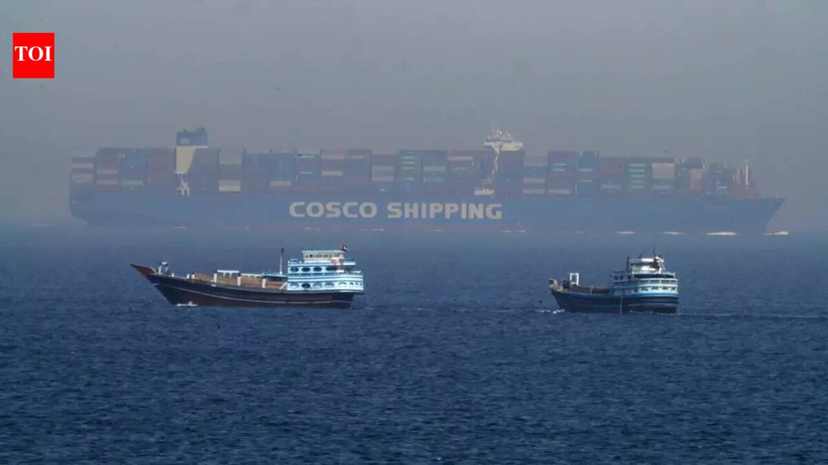 West Asia crisis: 38 Indian ships stranded in Persian Gulf; 3 sailors dead